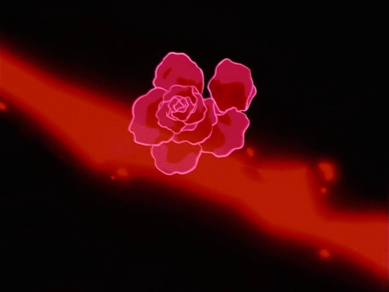 Throwing Roses - capture 2