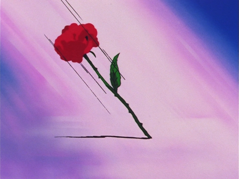 Throwing Roses - capture 3