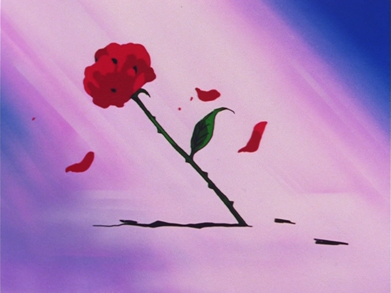 Throwing Roses - capture 4