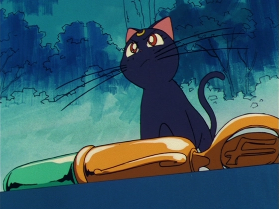 Sailor Jupiter - objet 1 capture 3